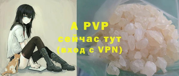 ГАЛЛЮЦИНОГЕННЫЕ ГРИБЫ Беломорск