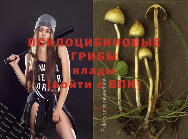 ГАЛЛЮЦИНОГЕННЫЕ ГРИБЫ Беломорск