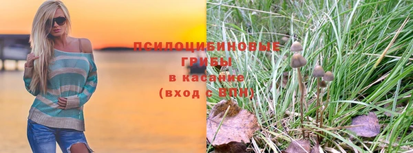 ГАЛЛЮЦИНОГЕННЫЕ ГРИБЫ Беломорск