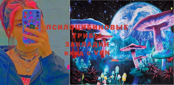 ГАЛЛЮЦИНОГЕННЫЕ ГРИБЫ Беломорск