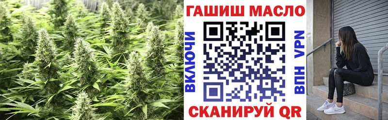 магазин Светлый ТГК концентрат
